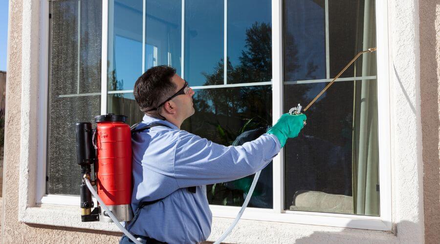 Professional bed bug heat treatment services in Cherry Valley - Bed Bug Heat Treatment Cherry Valley